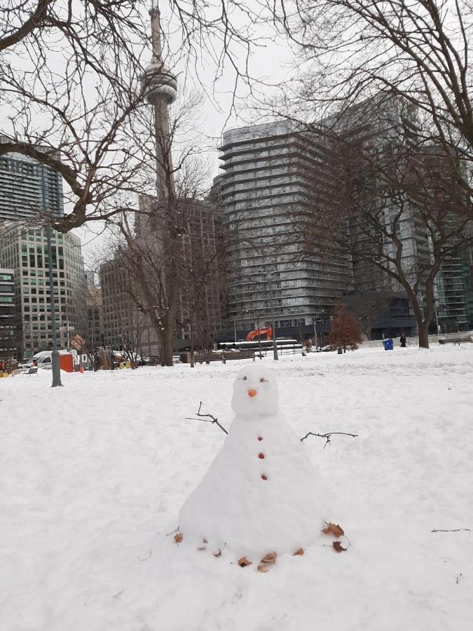 The Clarence Park Hostel Toronto Luaran gambar